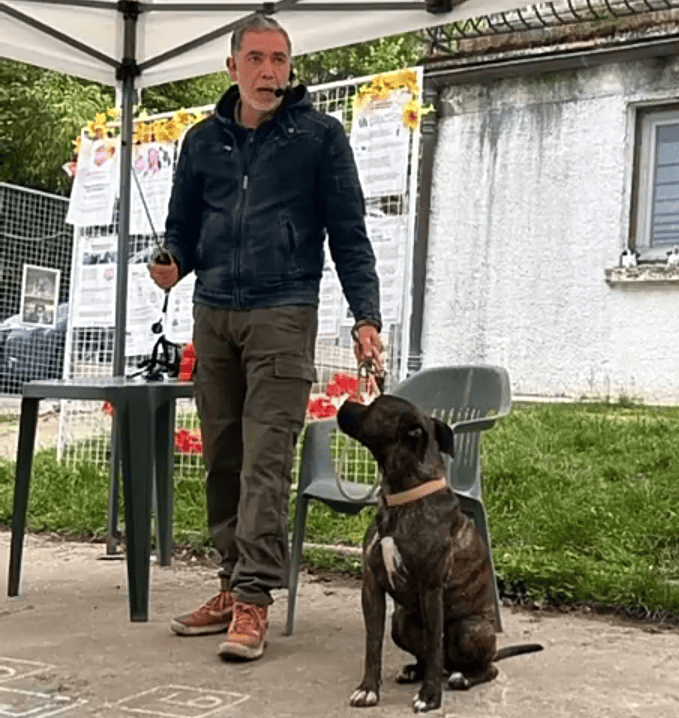 Le Royaume de Roia SAINT-ANDRE-DE-CORCY Méthode dressage bienveillante respectueuse du son du